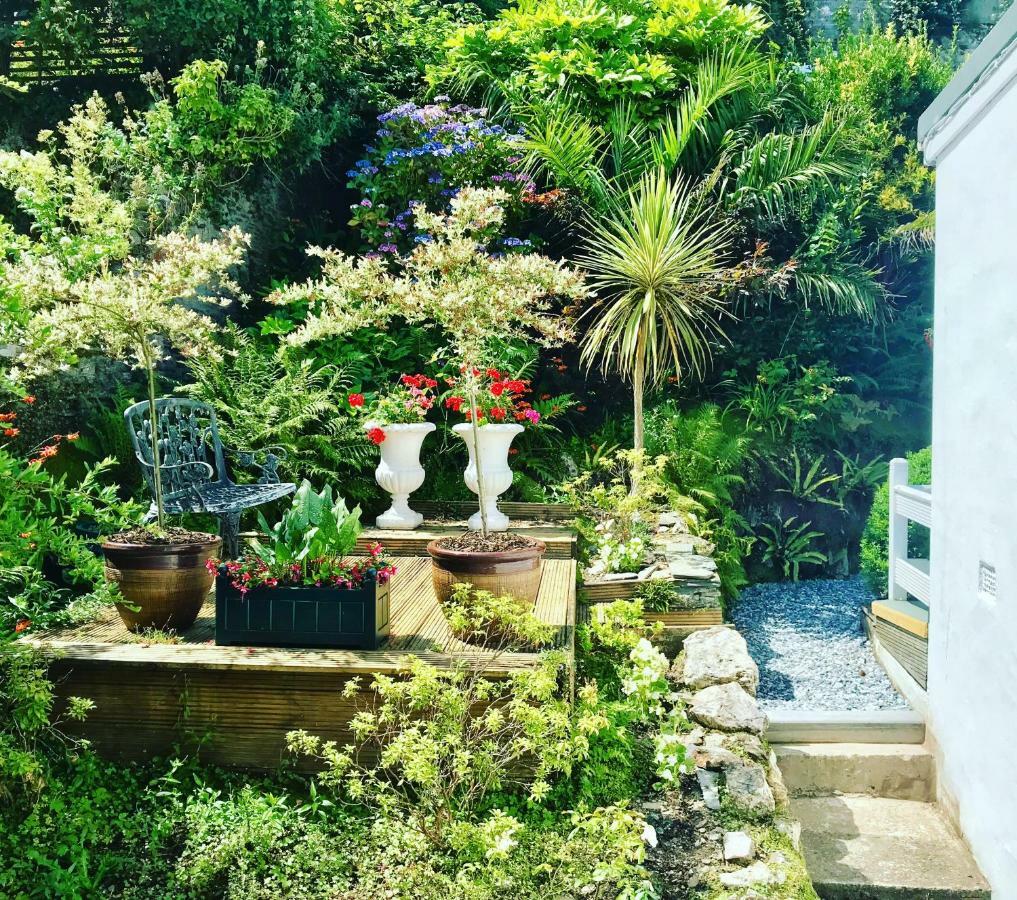 The Earlsdale Bed And Breakfast Ilfracombe Ngoại thất bức ảnh